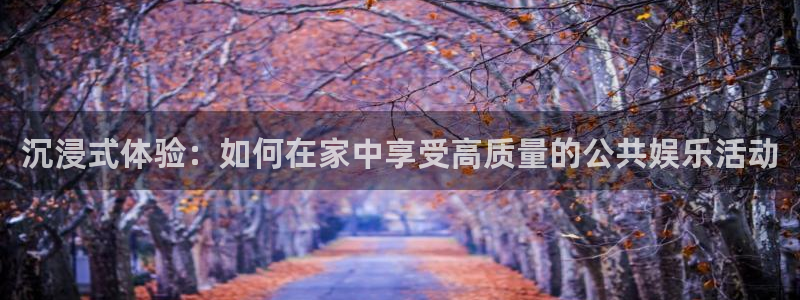 先锋娱乐：沉浸式体验：如何在家中享受高质量的公共娱乐活动
