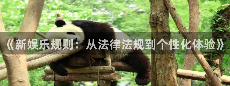 先锋娱乐：《新娱乐规则：从法律法规到个性化体验》