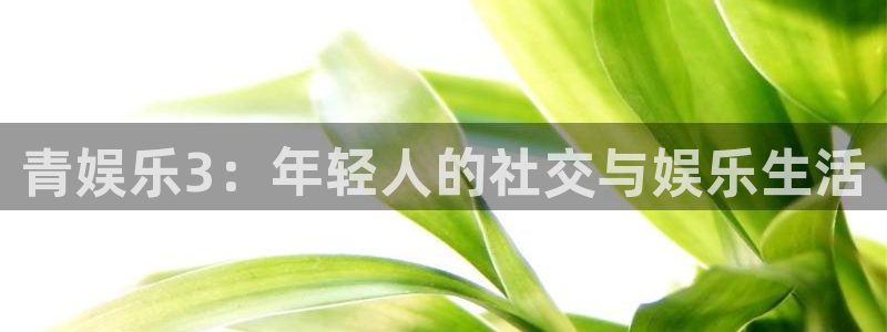 先锋娱乐公司：青娱乐3：年轻人的社交与娱乐生活