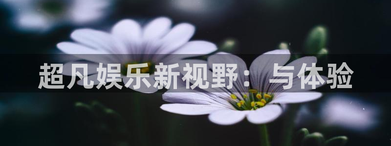 先锋娱乐平台：超凡娱乐新视野：与体验