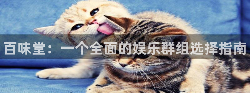 先锋娱乐：百味堂：一个全面的娱乐群组选择指南