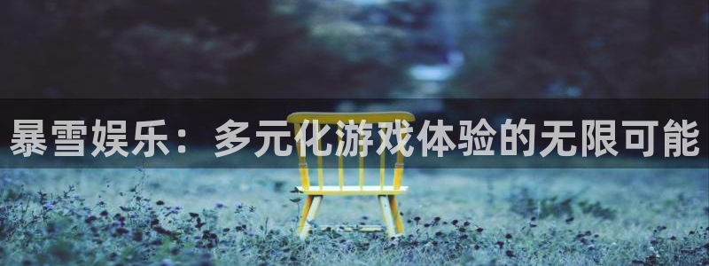 先锋娱乐：暴雪娱乐：多元化游戏体验的无限可能