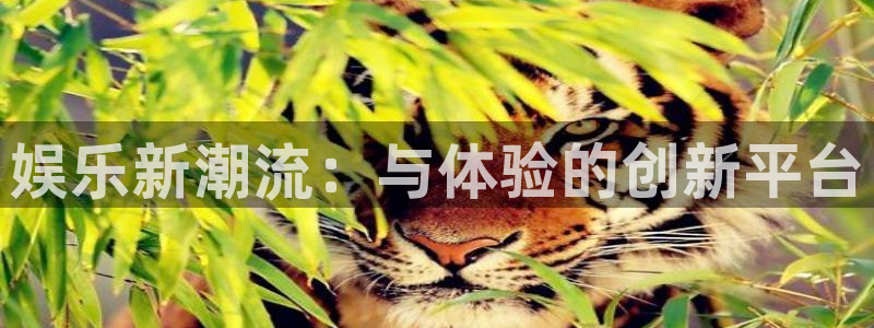 先锋娱乐平台：娱乐新潮流：与体验的创新平台